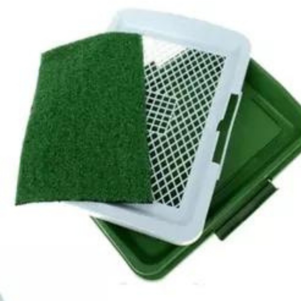 Alfombra Absorbente para Perros