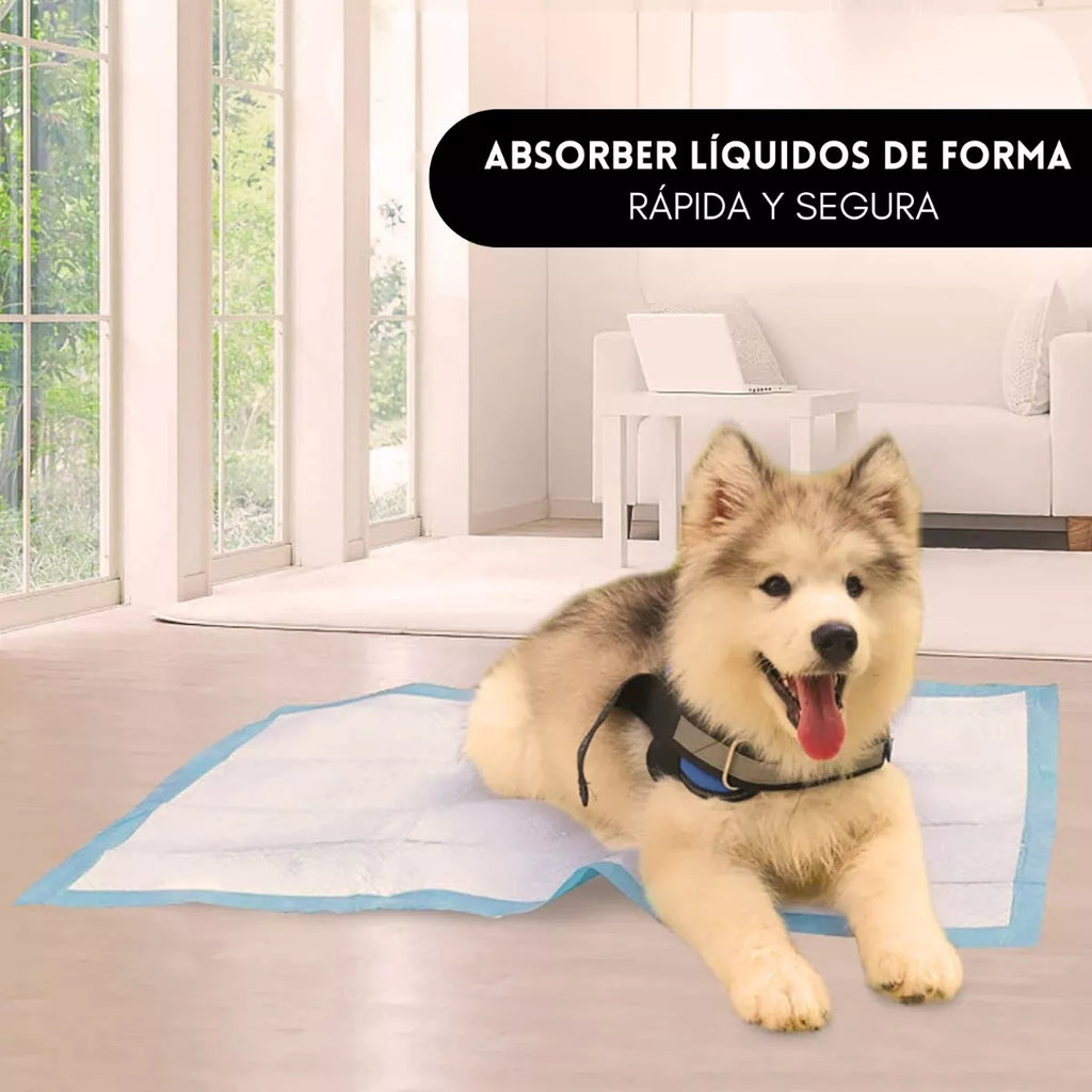 Empapadores o sabanillas de entrenamiento