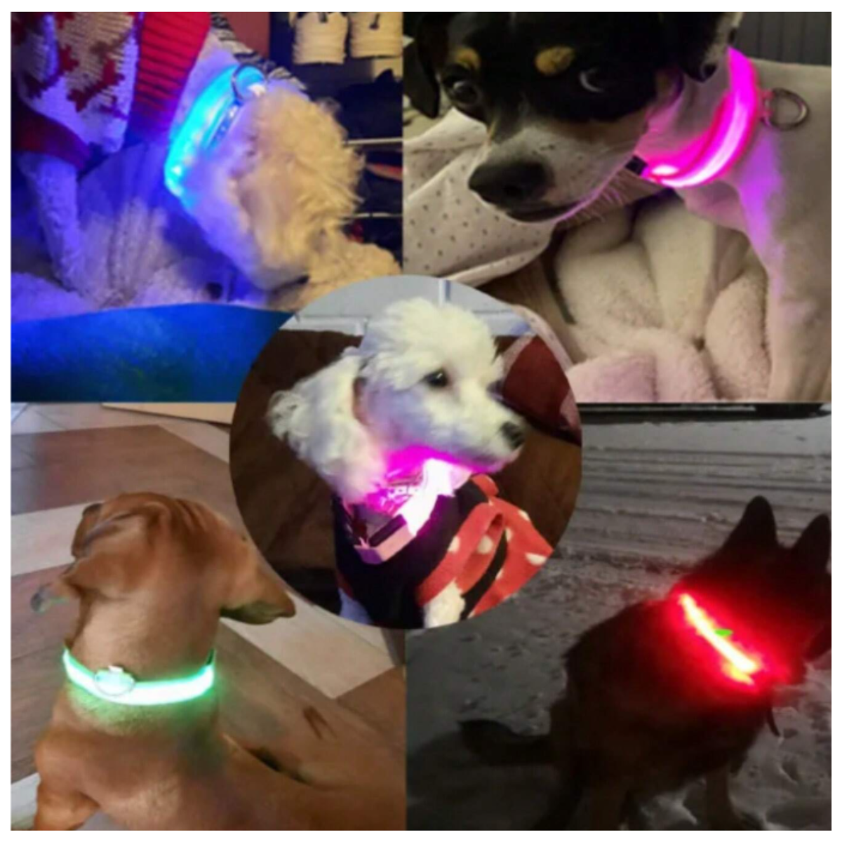 Collar Luminoso LED Recargable