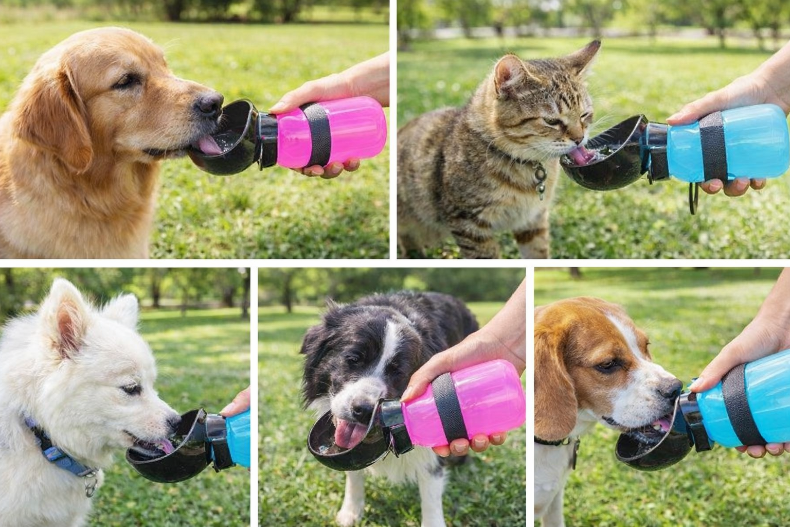 Botella de agua portátil para mascotas